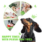 Orange Hide-and-Seek Plush Dog Toy