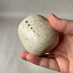 Mary Ackerman Shop Pottery Herb Stripper