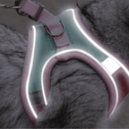 Pawras Escape-proof Cat Harness + Leash