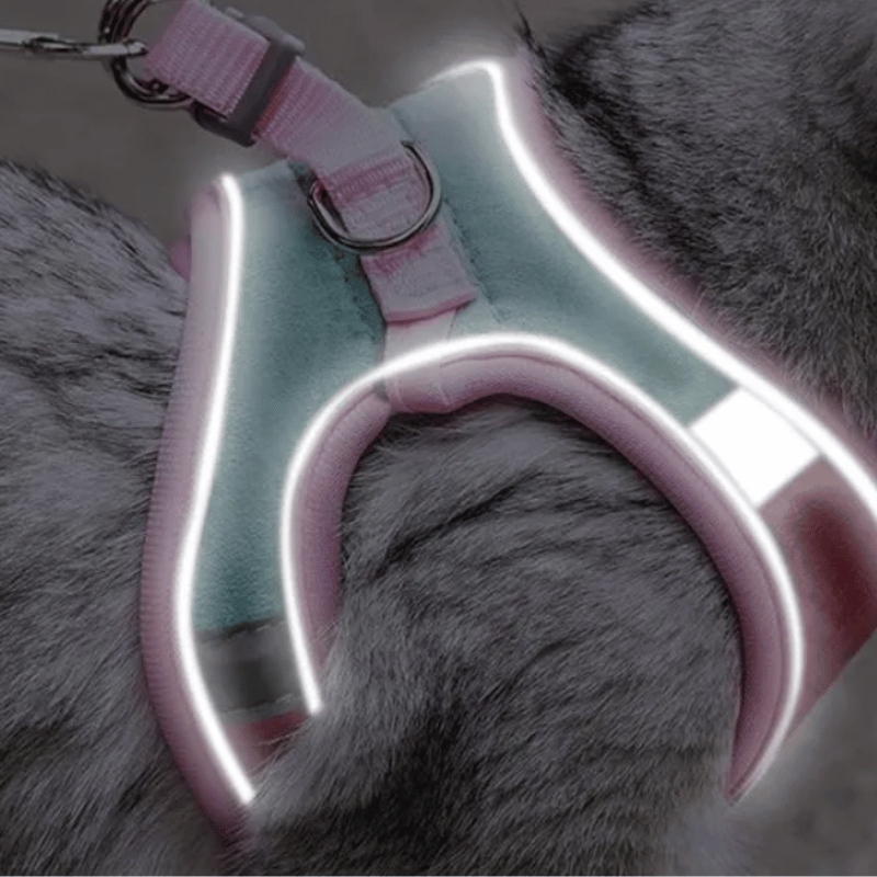Pawras Escape-proof Cat Harness + Leash