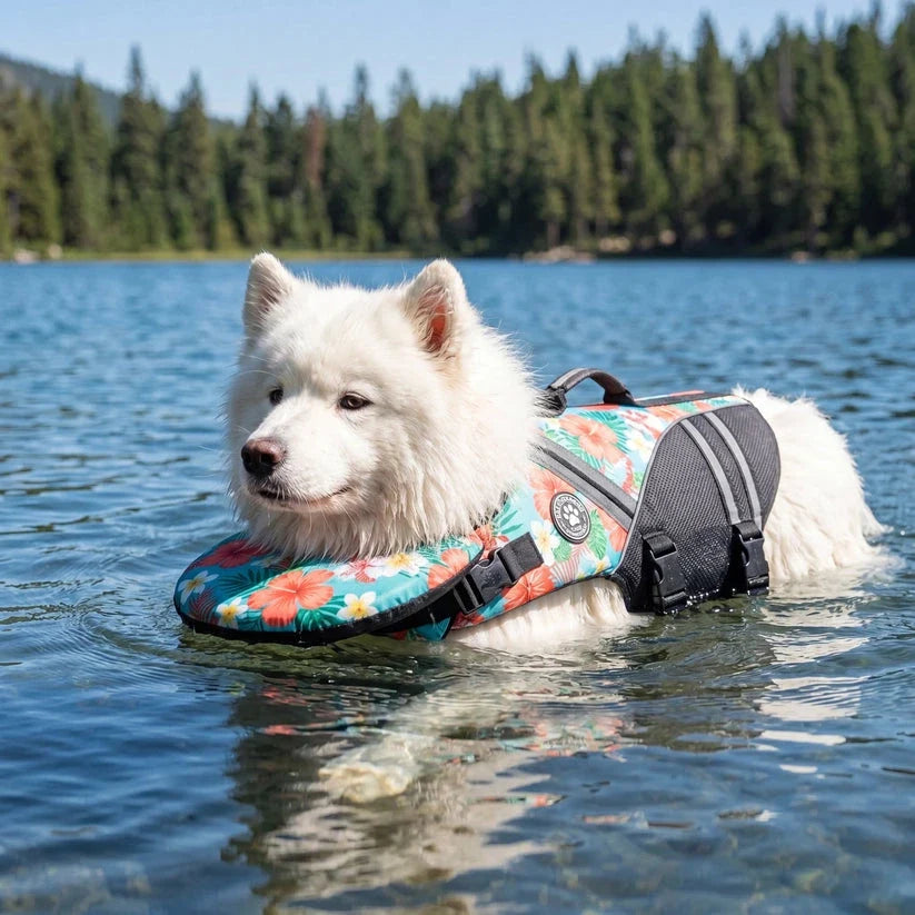 Pawrin Dog Life Jacket