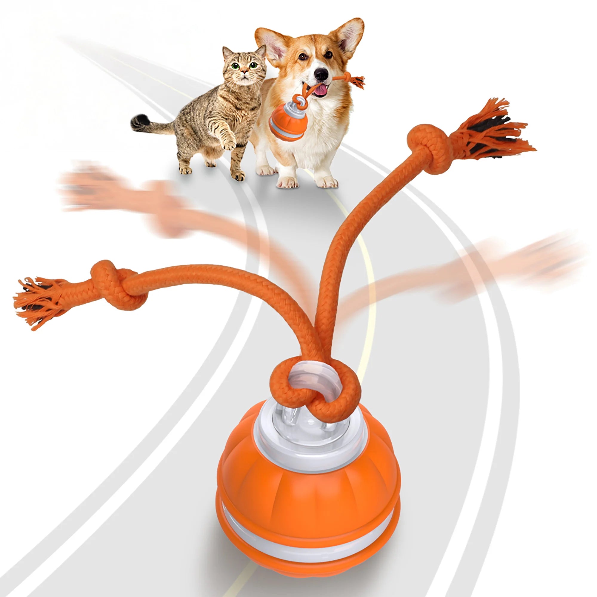 Interactive Smart Rolling Pet Ball