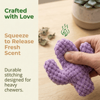 Latetleast Handmade Soft Cactus Kitten Chew Toys with Natural Catnip ( 5pcs )
