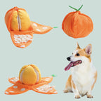 Orange Hide-and-Seek Plush Dog Toy