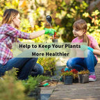 Cartivra Battery-Free Soil Moisture Meter