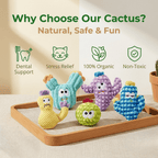 Latetleast Handmade Soft Cactus Kitten Chew Toys with Natural Catnip ( 5pcs )