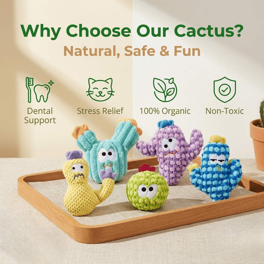 Latetleast Handmade Soft Cactus Kitten Chew Toys with Natural Catnip ( 5pcs )