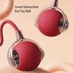 Indoor cat interactive cat toy ball