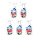 Fast Acting Anti-Mold Wall Cleaner Spray