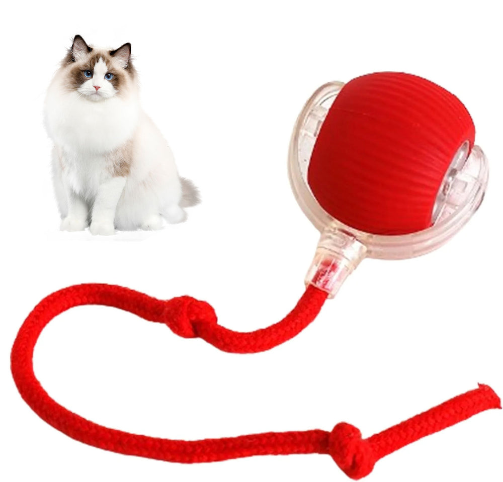 Indoor cat interactive cat toy ball