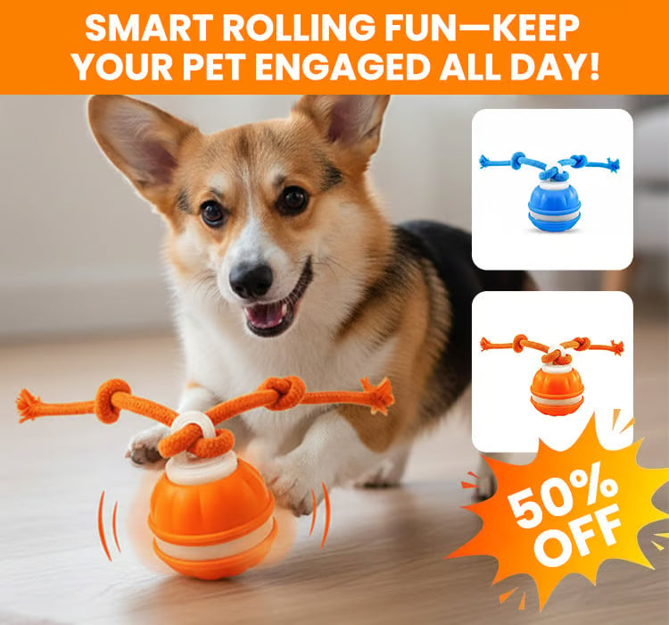 Interactive Smart Rolling Pet Ball
