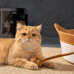 Stimulicat Woven Cat Nest Bed
