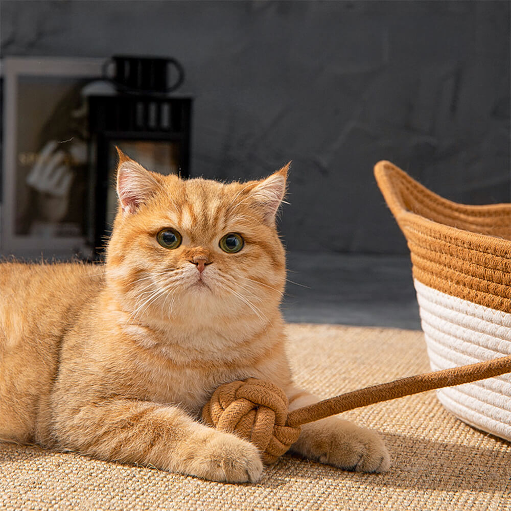 Stimulicat Woven Cat Nest Bed