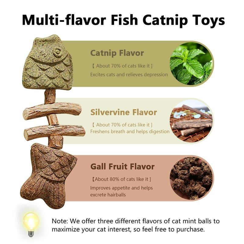 Hotjoiestore Catnip & Silvervine Chew ( 3pcs ) - Edible Dental Chew Toys for Cats/Kittens, with Catnip/Silvervine/Gall Fruit, Interactive for Indoor Cats 2