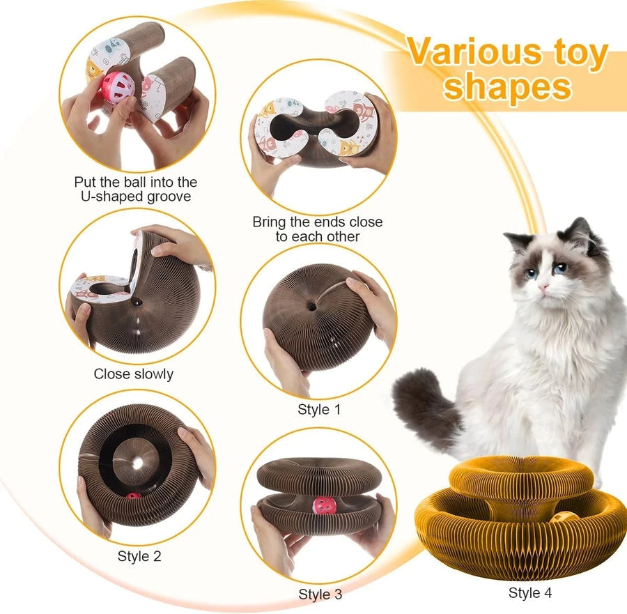 Marlene's Pet Shop Kitty Kurlz™ - Magic Organ Cat Scratching Board 2