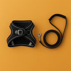 Pawras Escape-proof Cat Harness + Leash