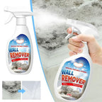 Fast Acting Anti-Mold Wall Cleaner Spray
