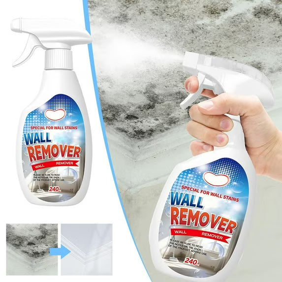 Fast Acting Anti-Mold Wall Cleaner Spray