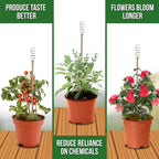 Sideargue Electroculture Plant Stakes 8 Pack | Enhance Plant Growth with Natural Energy | Eco-Friendly, Copper Garden Stakes for Vibrant, Healthy Plants