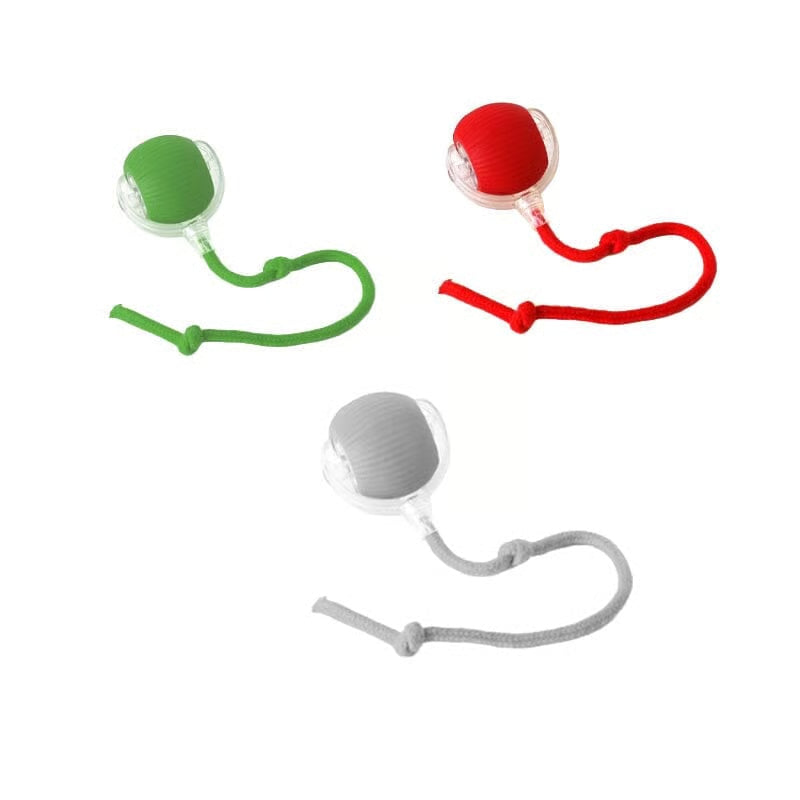 Indoor cat interactive cat toy ball