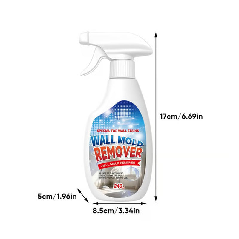 Fast Acting Anti-Mold Wall Cleaner Spray