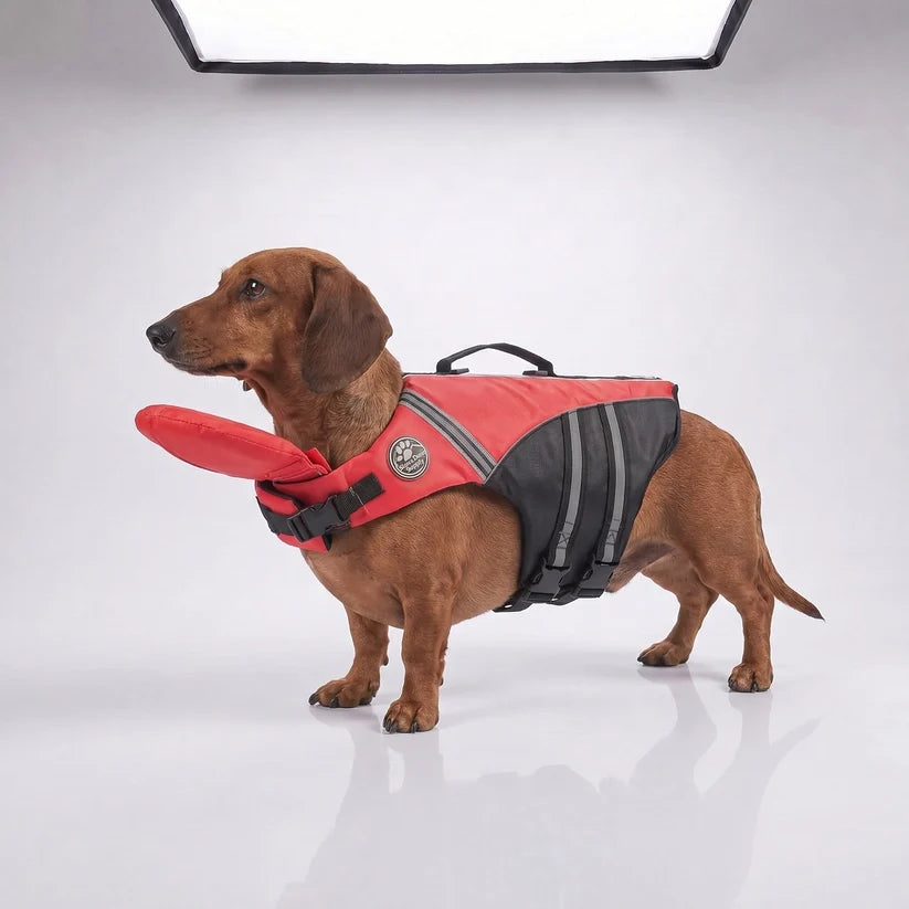 Pawrin Dog Life Jacket