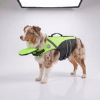Pawrin Dog Life Jacket