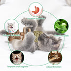 Hotjoiestore Catnip & Silvervine Chew ( 3pcs ) - Edible Dental Chew Toys for Cats/Kittens, with Catnip/Silvervine/Gall Fruit, Interactive for Indoor Cats