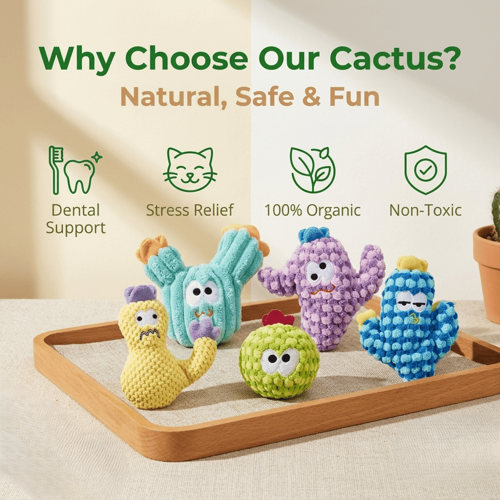 Latetleast Handmade Soft Cactus Kitten Chew Toys with Natural Catnip ( 5pcs )