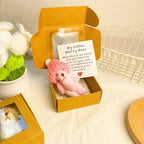 Okhall Handmade Mini Plush Teddy Bear in Box