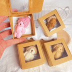 Okhall Handmade Mini Plush Teddy Bear in Box