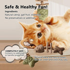 Hotjoiestore Catnip & Silvervine Chew ( 3pcs ) - Edible Dental Chew Toys for Cats/Kittens, with Catnip/Silvervine/Gall Fruit, Interactive for Indoor Cats