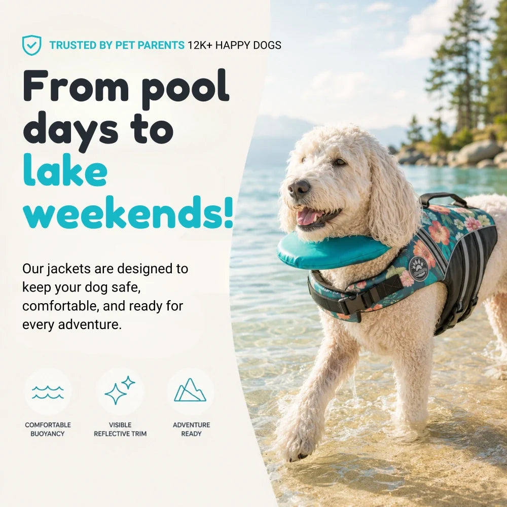 Pawrin Dog Life Jacket