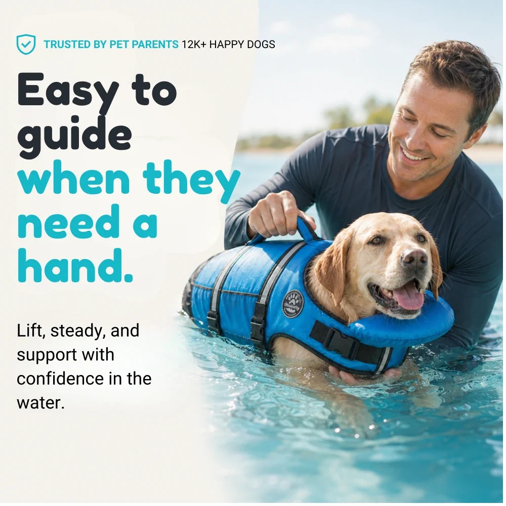 Pawrin Dog Life Jacket